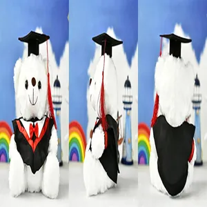 Detailed three-sided view of white graduation teddy bear in black and red doctoral gown