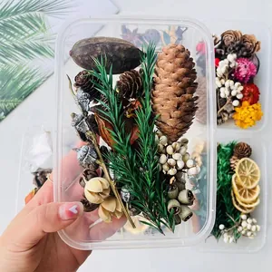 Close-up detail of forest-themed dried flower DIY kit including pine cones and natural berries