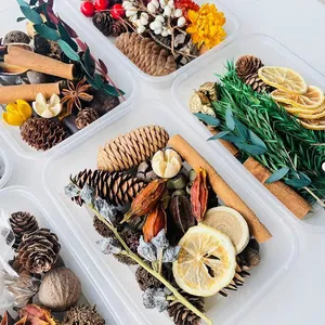 Detailed view of DIY dried flower material kit with pine cones, cinnamon and lemon slices