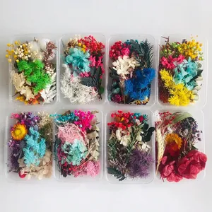 Detailed view of eight assorted DIY dried flower material packs in clear boxes