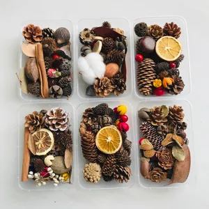 Macro view of 6 boxes containing assorted dried pine cones, orange slices and DIY forest materials