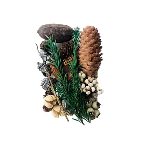 Assorted dried natural plants and pine cones DIY material pack for forest style decor