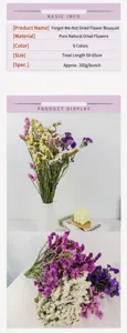 Detailed view of multi-colored natural dried Forget-me-not flowers for home decoration