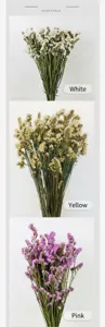 Detailed close-up showing natural dried Statice flowers in white, yellow, and pink colors