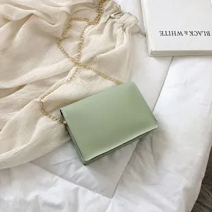 Detailed view of light green small square bag with elegant gold chain strap