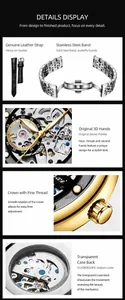 Detailed views of Chenxi automatic skeleton watch straps, dial, crown, and clear case back.