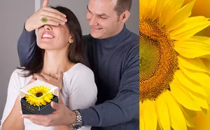Detailansicht einer Sonnenblumen-Halskette und Geschenkbox in romantischer Szene