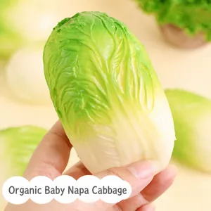 Detailed close-up view of a realistic cabbage-shaped stress relief squishy toy held in hand