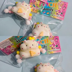Close-up of cute white hamster squishy stress relief toy with cheese in colorful packaging