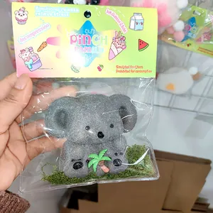 Vue détaillée d'un jouet anti-stress koala gris dans son emballage Pinch Family