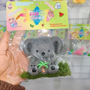 Jouet anti-stress koala gris présenté dans son emballage coloré de la marque PINCH FAMILY.