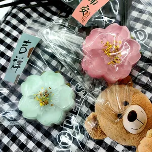 Close-up of translucent pink and green flower-shaped squishy toys with dried flowers