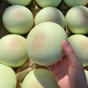 Slow Rebound Squishy Toy Soft Melon Taro Bun Scented Stress Relief Fidget Toy For Kids Adults Decompression Sensory Toy