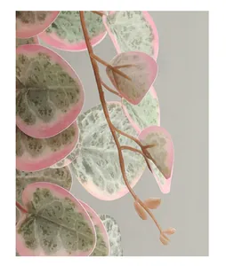 Close-up of artificial variegated plant leaves with green centers and pink edges