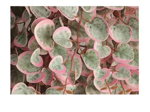 Close-up macro detail of artificial heart-shaped vine leaves in vibrant pink and green