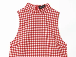 Detailed close-up view of a red and white gingham checkered sleeveless high neck crop top