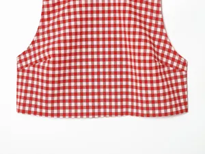 High-quality close-up detail of the red and white gingham pattern on a sleeveless cropped top
