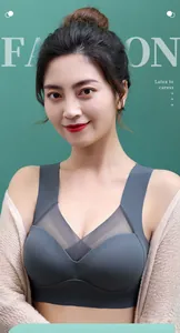 Close-up of a seamless grey bra with elegant mesh V-neck detail on an Asian model