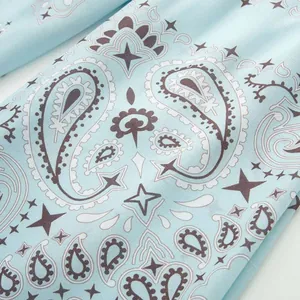 Detailed macro view of light blue fabric featuring brown paisley and star print design