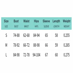 Detailed size chart for the mesh mini dress showing bust, waist, and length measurements
