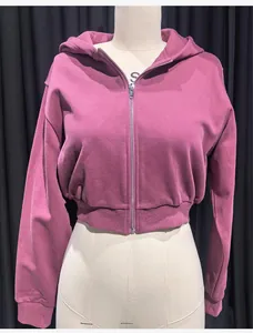 Close-up detail of women's mauve cropped zip-up hoodie sweatshirt on a mannequin