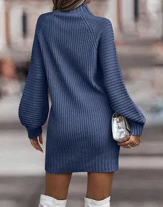 Rückansicht von blauem geripptem Strickkleid mit Stehkragen und langen Ärmeln