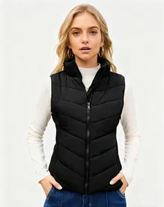 Model wearing a slim-fit black puffer vest with stand-up collar and zipper detail