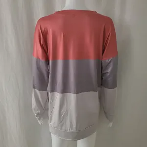 Detail view of the back of a color-block crewneck long sleeve sweatshirt on mannequin