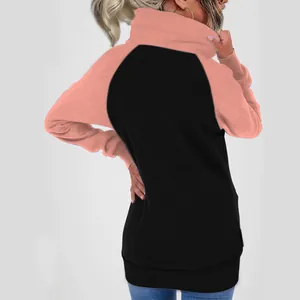Back view of a stylish women's color-block fleece-lined sweatshirt with a cowl neck.