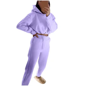 Damen modisches Flieder Langarm Kapuzenpullover und Jogginghose zweiteiliges Set