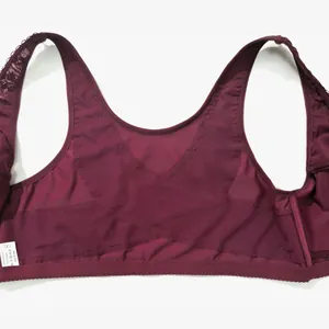 Detail of plus size bra back showing X-shaped cross support and lace mesh texture.