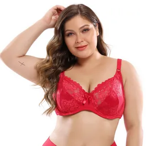 Close-up detail of exquisite red lace patterns on this plus-size thin DE cup bra