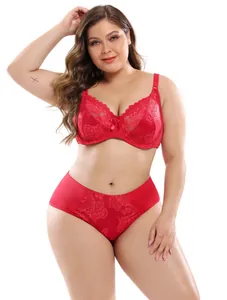 Front view detail of a sexy red lace plus-size lingerie set featuring an E cup bra