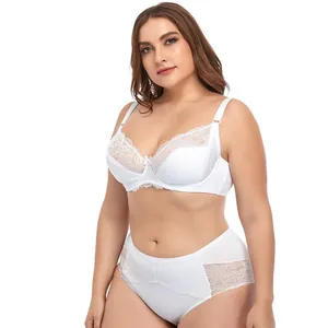 Detail view of a white plus-size lace lingerie set featuring an underwired bra and panties