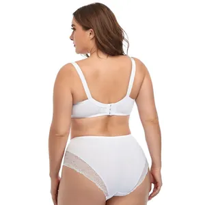 Back view of a plus-size white lace bra and matching high-waist panty set for women