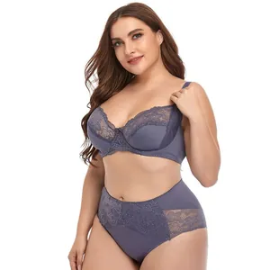 Elegant plus size grey lace bra and high-waist panty lingerie set for women