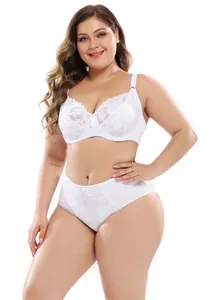 Detailed view of a plus size white lace lingerie set featuring high waisted briefs