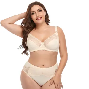 Elegant plus size lace bra and panty set in cream white with wired support
