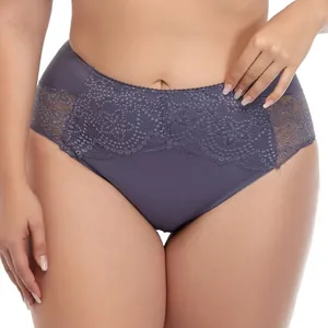 Detailansicht lila Plus-Size-Slip mit hoher Taille und feiner Spitzenstickerei.