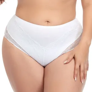 Détail d'une culotte blanche en dentelle grande taille avec bords sans couture et taille haute