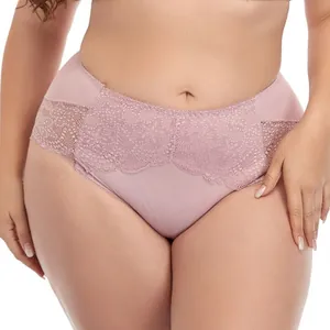 Detailansicht der mauvefarbenen Spitzenunterwäsche mit hoher Taille für große Größen