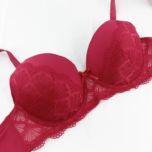 Elegant red lace embroidery detail on a full cup plus size bra with a decorative bow