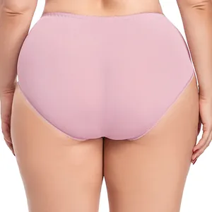 Back view detail of pink high-waisted plus size translucent lace panties for women.