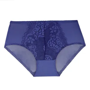 High-quality detail view of plus size women's lace briefs in elegant dark purple color