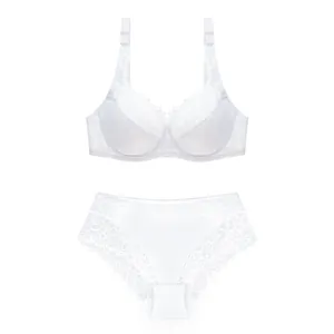 Elegantes weißes Spitzenunterwäsche-Set mit detailreichem BH und passendem Slip