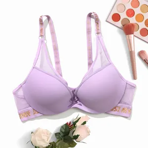 Nahaufnahme eines lila Push-up-BHs mit glitzernden Buchstaben-Trägern und Mesh-Flügeln