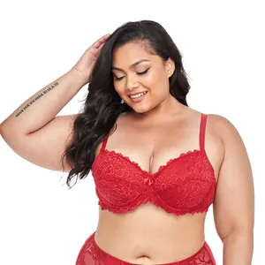 Close-up of red plus-size lace bra with push-up design and delicate bow detail.