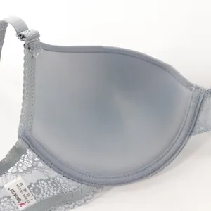 Detailed macro view of the soft inner lining and lace strap of this grey molded bra cup