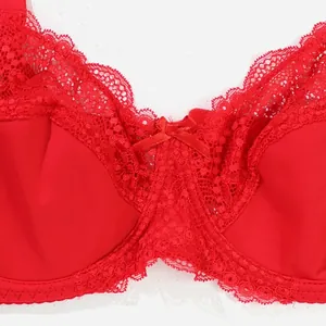 Close-up of elegant red lace bra with intricate embroidery and delicate center bow detail