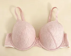Detail of pink French lace bra showing intricate floral patterns and small bow